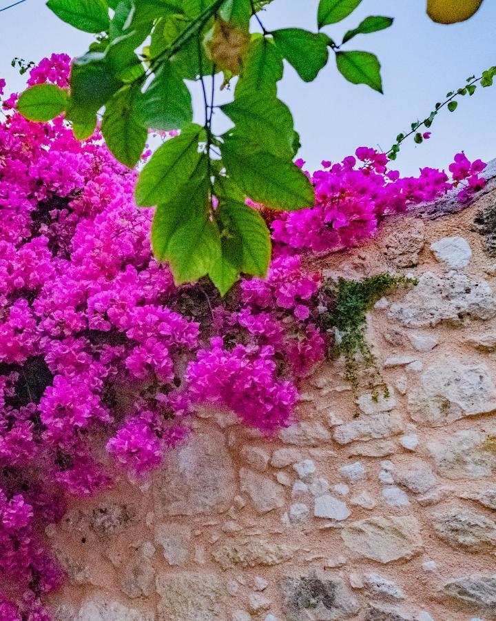 The Venetian Walls 'Central House With Private Courtyard - Charmy & Cheap' Heraklion (Crete) Exterior foto